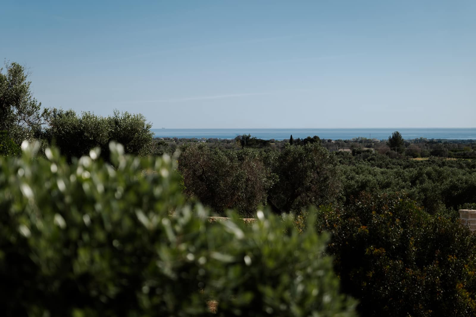 Fotografia d'interni di Dino Maglie per struttura ricettiva B&B La Scaledda di Serranova, Carovigno (BR)